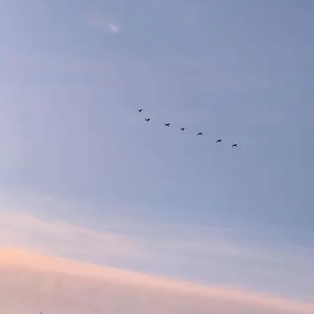 Sea The Blue Garden ヴィラ Odargowo