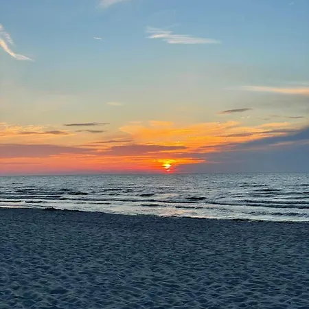 Sea The Blue Garden *