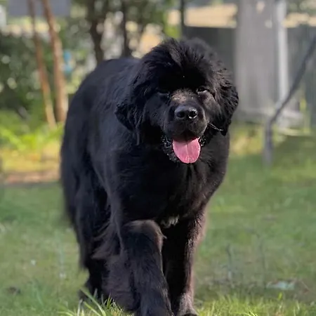 Sea The Blue Garden Villa *