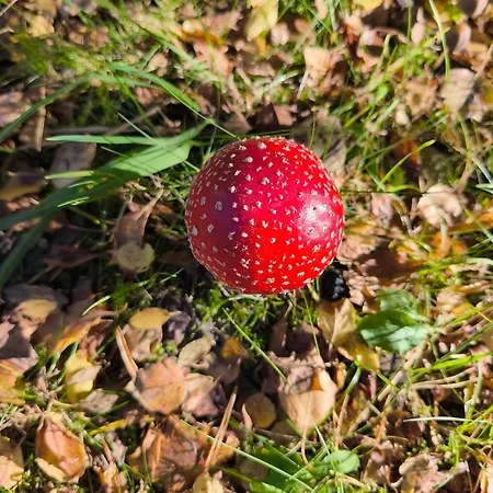 Villa Sea The Blue Garden *