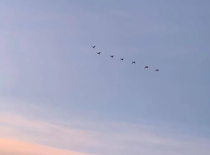 Sea The Blue Garden 빌라 Odargowo