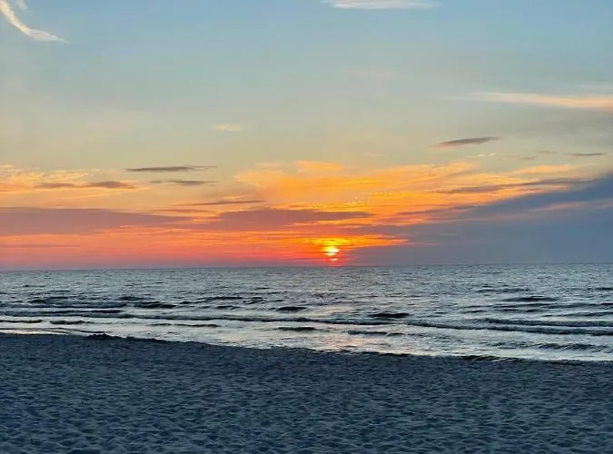 Sea The Blue Garden *