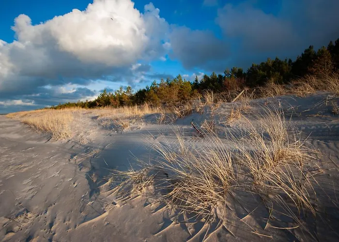 Sea The Blue Garden * Odargowo