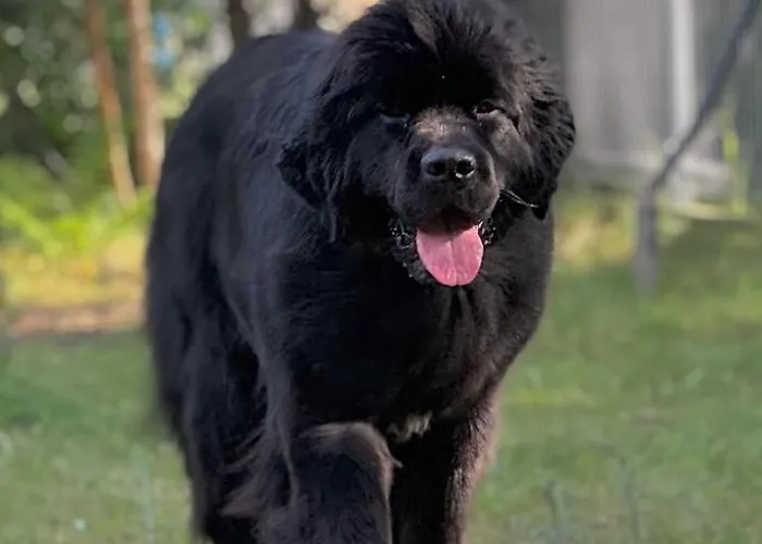 Sea The Blue Garden Villa *