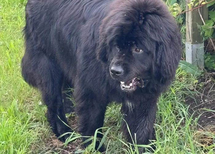 Sea The Blue Garden Villa