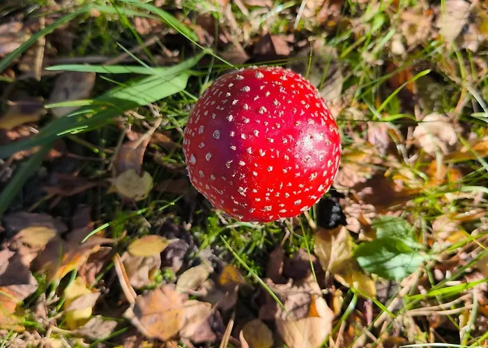 Villa Sea The Blue Garden *