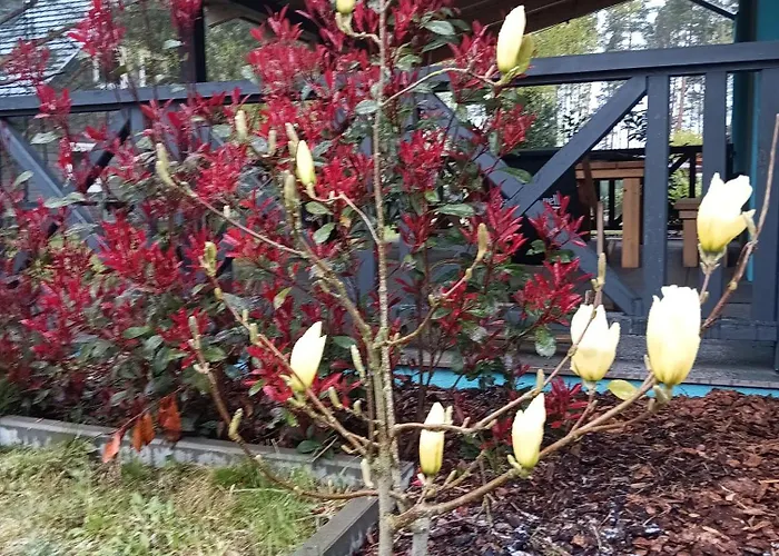 Sea The Blue Garden *